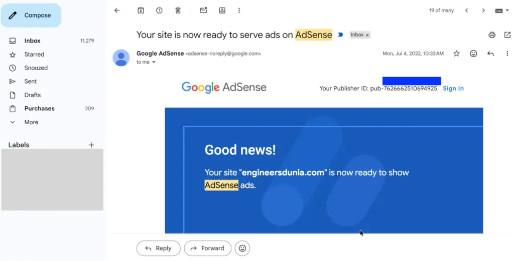 An Adsense panel showing success