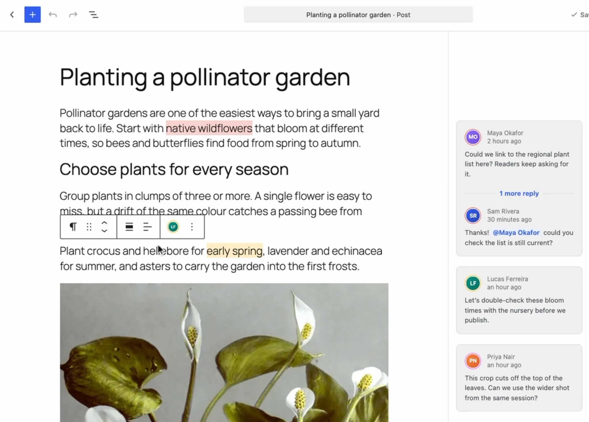 Screenshot of the WordPress post editor with notes shown in the margin to the right.